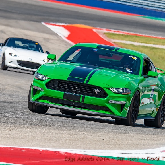 Meet your Posher, Rachel - Picture 4 of 6